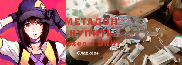 индика Алексин