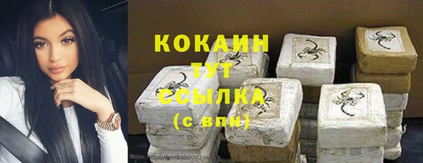 индика Алексин