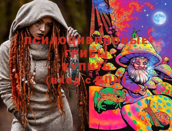 индика Алексин
