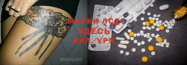 индика Алексин
