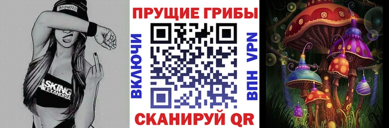 omg как войти  магазин    Куртамыш  Галлюциногенные грибы прущие грибы 
